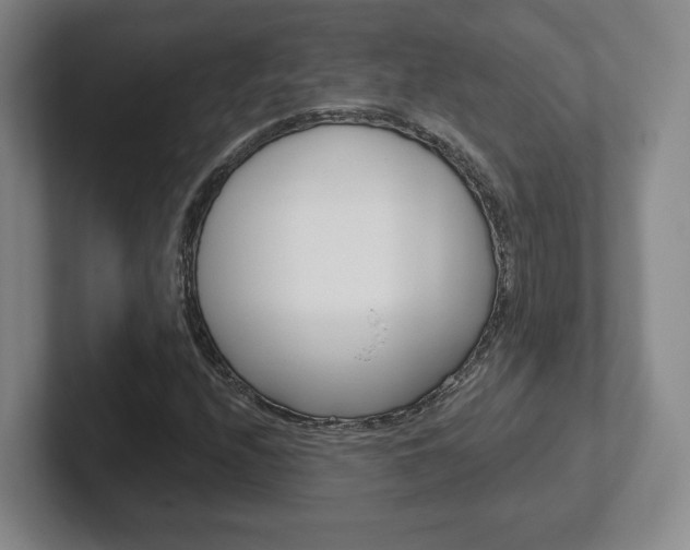 X0000102291208200807250954