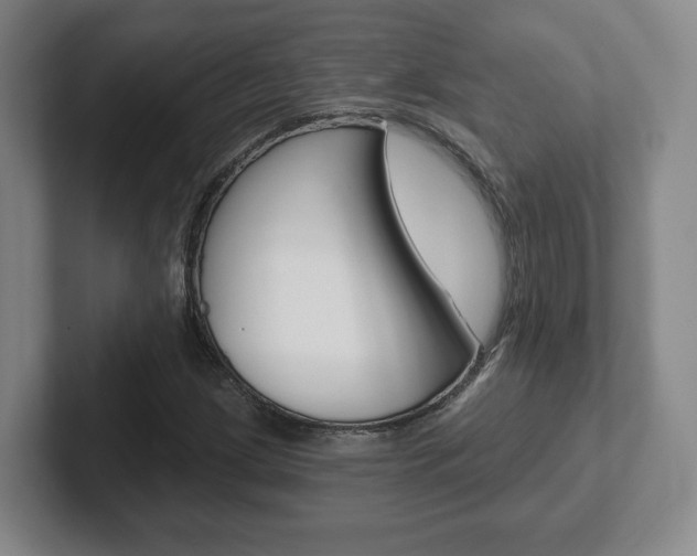X0000102291209200807250954