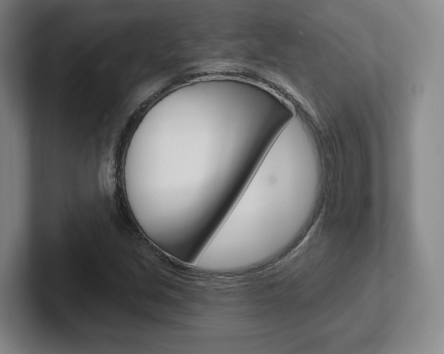 X0000102291213200807250954