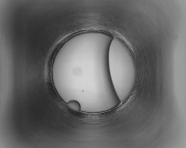 X0000102291215200807250954