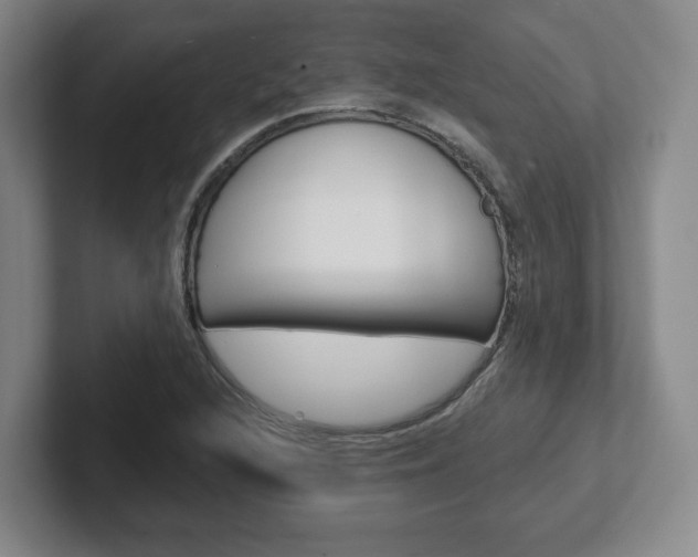 X0000102291216200807250954