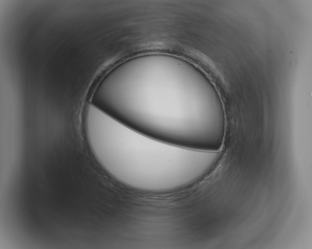 X0000102291218200807250954
