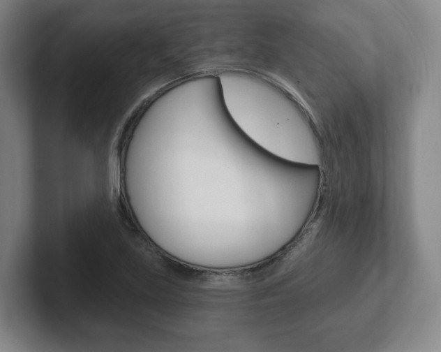 X0000102291219200807250954