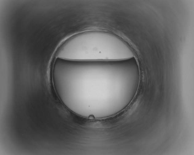 X0000102291222200807250954