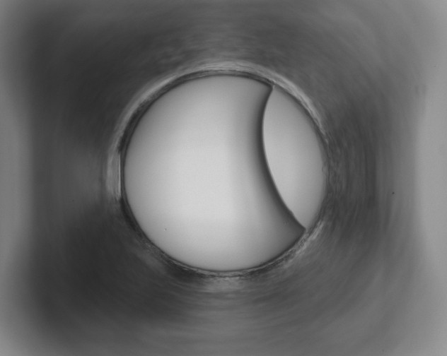 X0000102291223200807250954