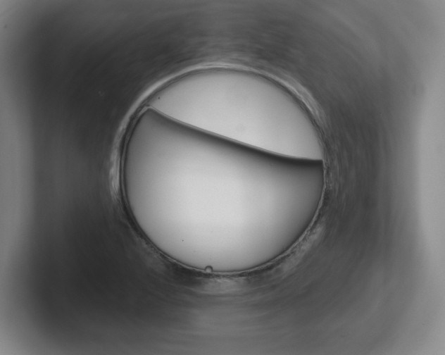 X0000102291224200807250954