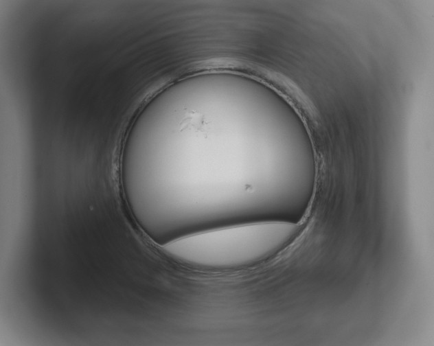 X0000102291225200807250954