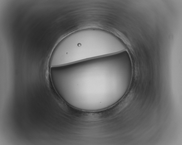 X0000102291226200807250954