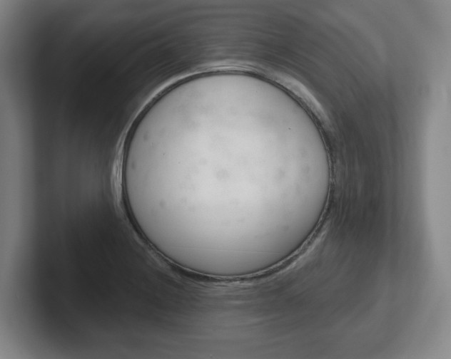X0000102291228200807250954