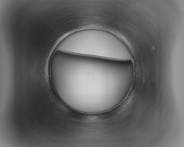 X0000102291230200807250954