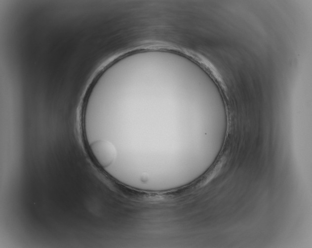 X0000102291231200807250954