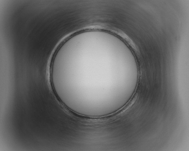 X0000102291232200807250954