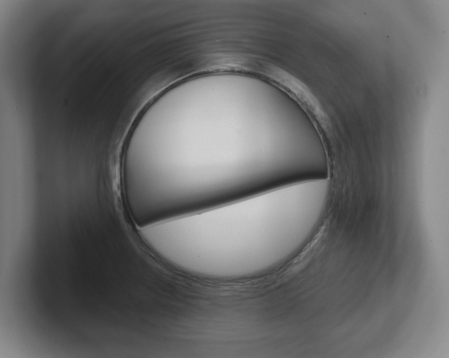 X0000102291234200807250954
