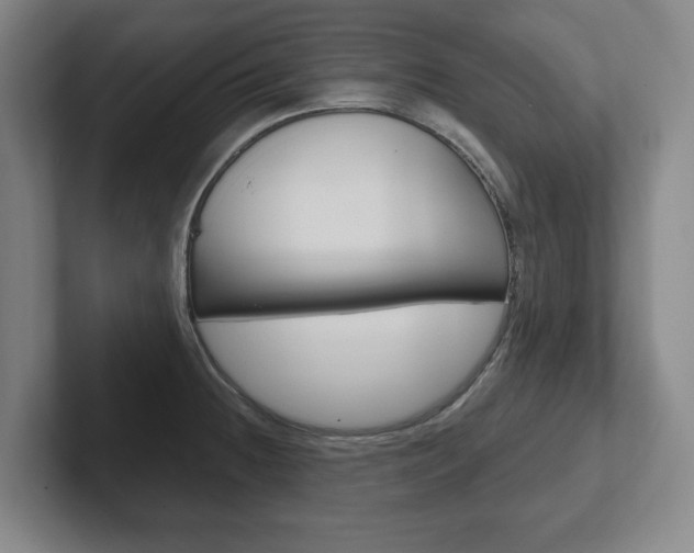 X0000102291236200807250954