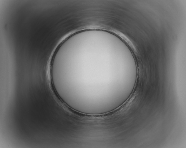 X0000102291238200807250954