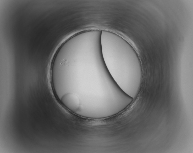 X0000102291239200807250954
