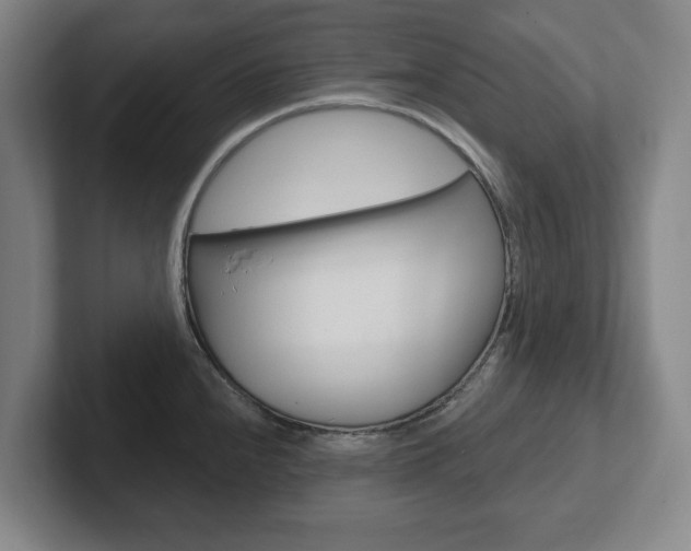 X0000102291240200807250954