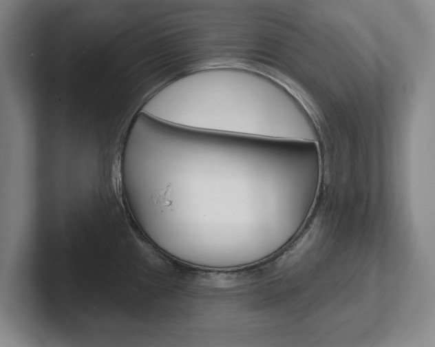 X0000102291241200807250954