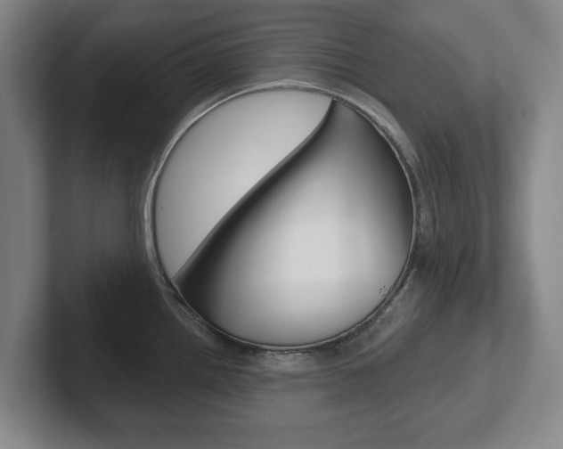 X0000102291242200807250954