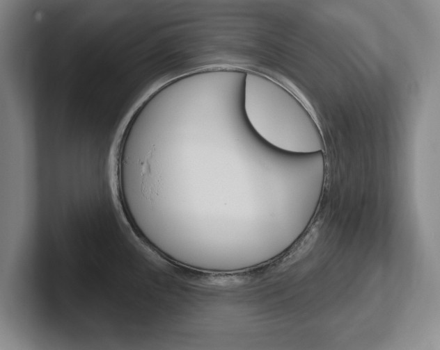 X0000102291243200807250954