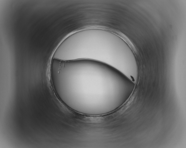 X0000102291244200807250954