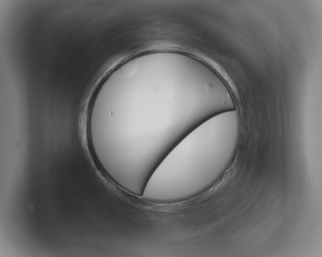 X0000102291245200807250955