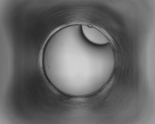 X0000102291246200807250955