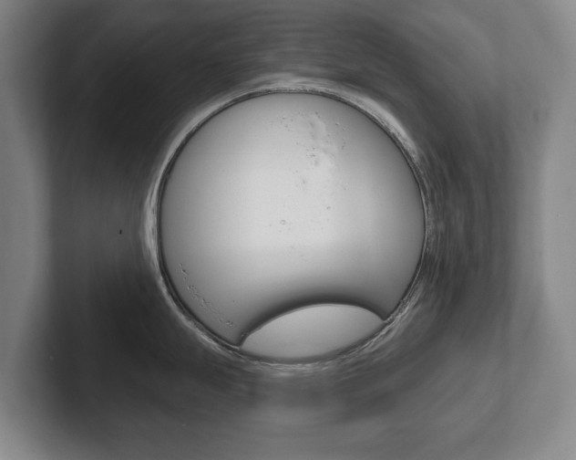 X0000102291247200807250955