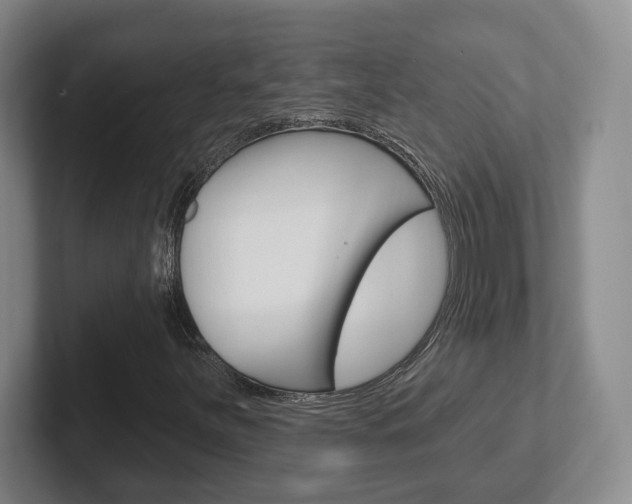 X0000102291251200807250954