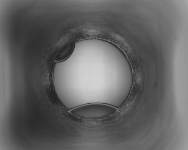 X0000102291253200807250954