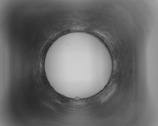 X0000102291254200807250954