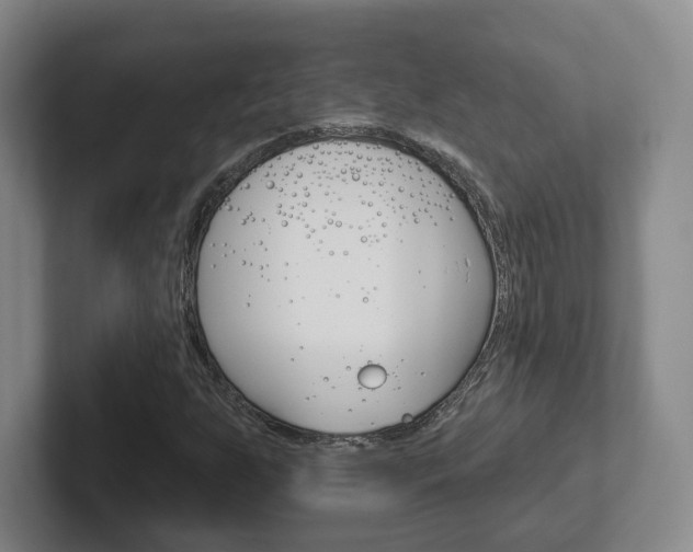 X0000102291255200807250954