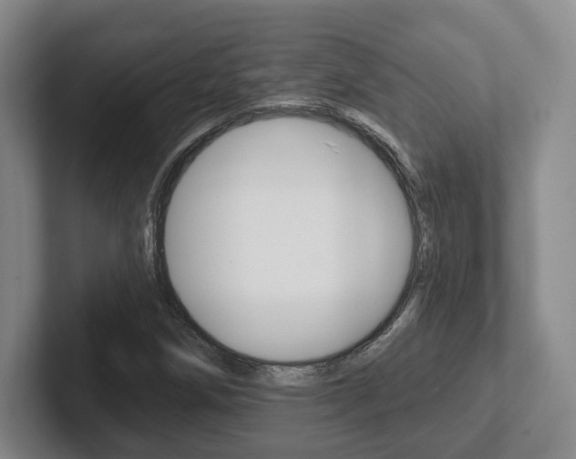 X0000102291258200807250954