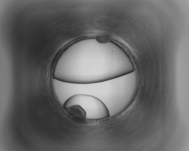 X0000102291259200807250954