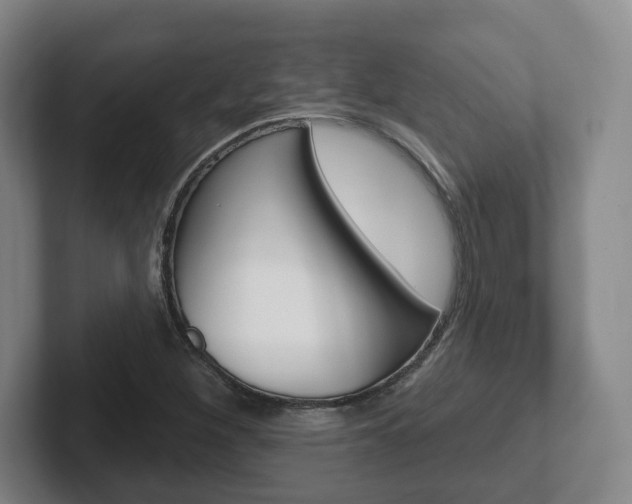 X0000102291260200807250954