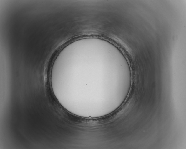 X0000102291261200807250954