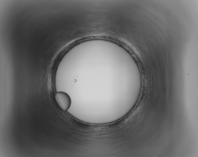 X0000102291262200807250954