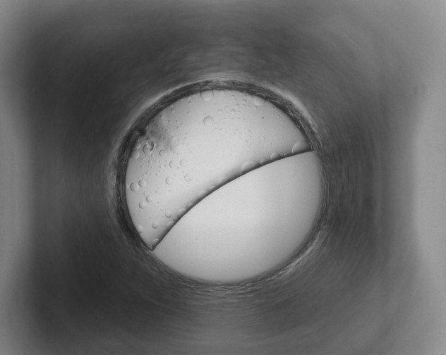 X0000102291263200807250954