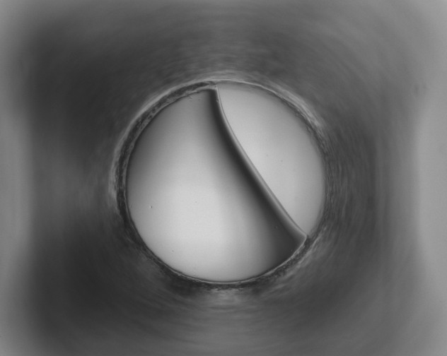 X0000102291264200807250954