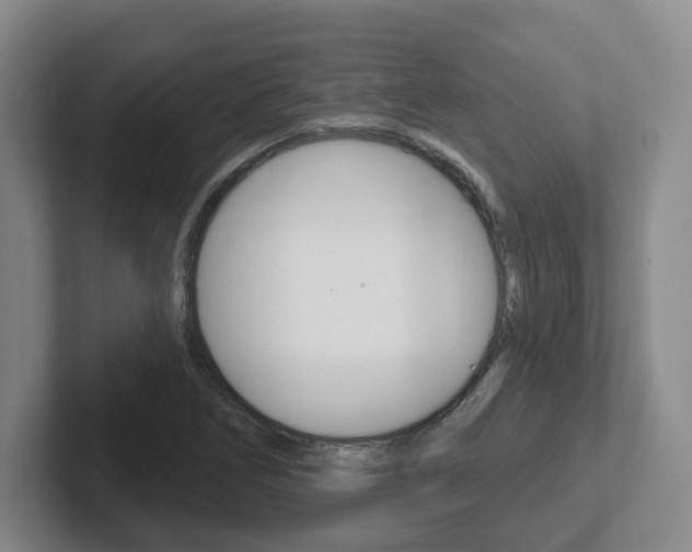 X0000102291266200807250954