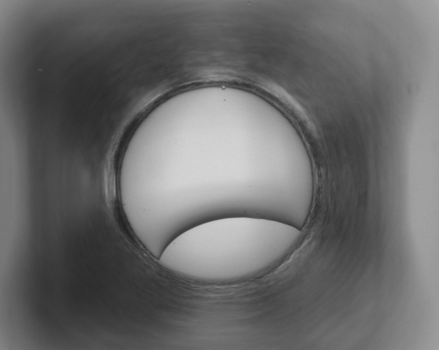 X0000102291269200807250954