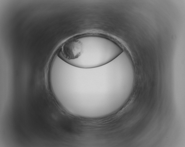 X0000102291271200807250954