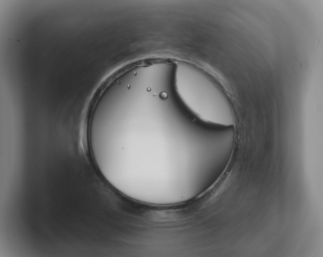 X0000102291272200807250954