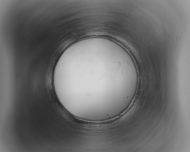X0000102291273200807250954