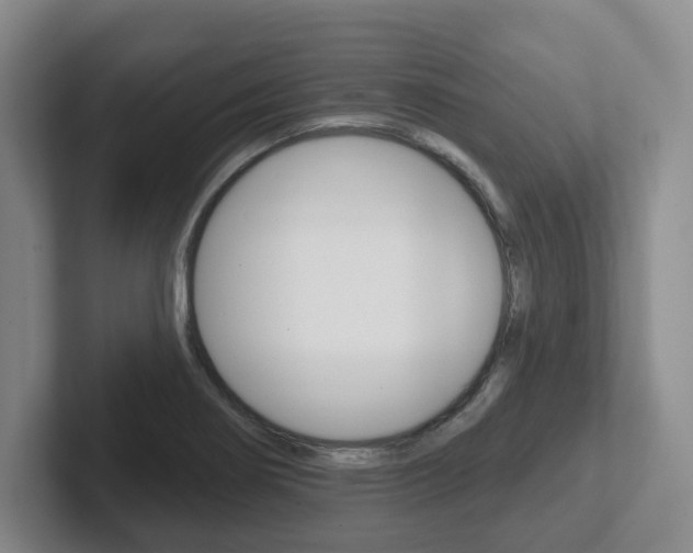 X0000102291274200807250954
