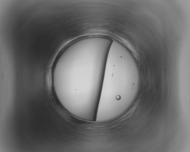 X0000102291275200807250954