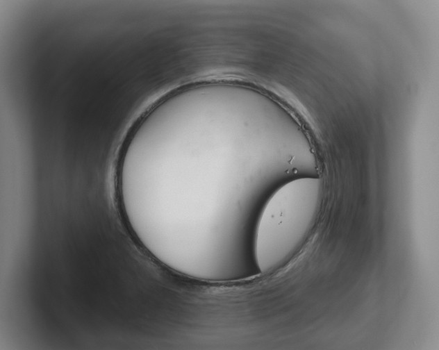 X0000102291277200807250954