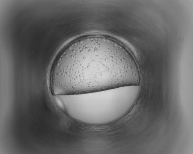 X0000102291279200807250954