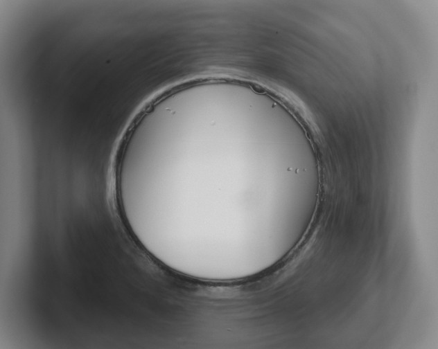 X0000102291280200807250954