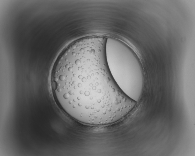X0000102291283200807250953
